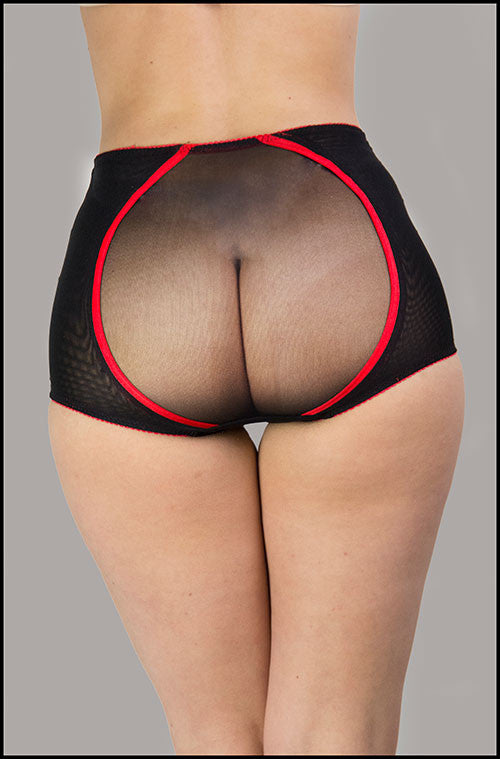 Michelle shapewear knicker