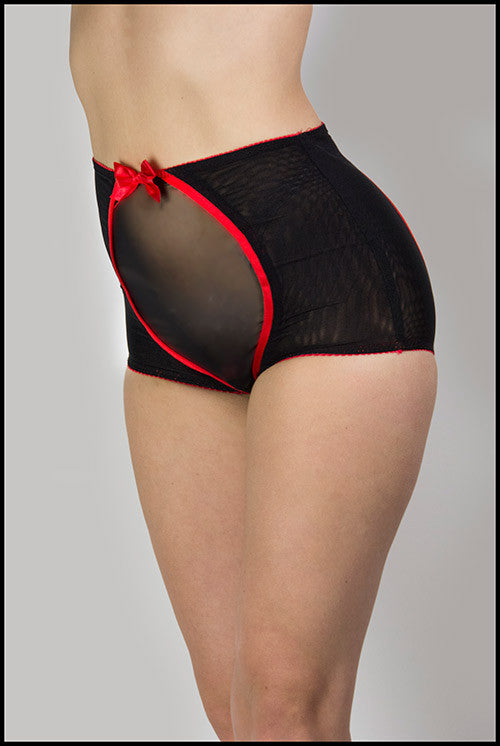 Michelle shapewear knicker